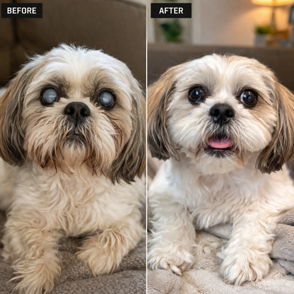 Supports Clearer Vision in Dogs Before It Gets Worse.